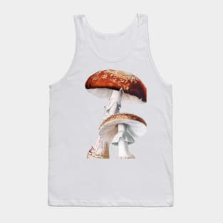 Amanita muscaria, Toadstool, Fly agaric, vintage illustration Tank Top